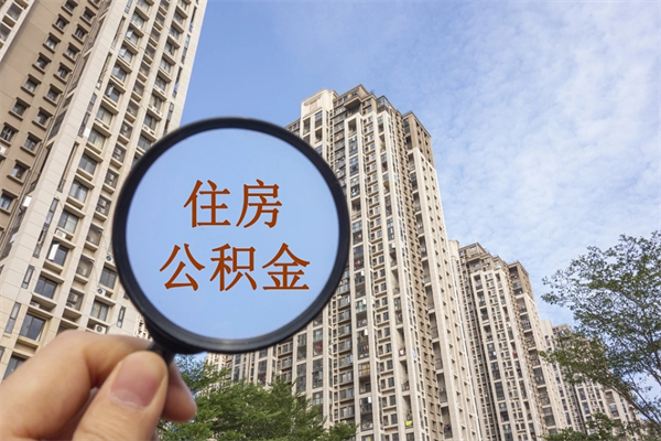 滕州离职后公司不给转公积金怎么办（离职后公司不给转社保怎么办）
